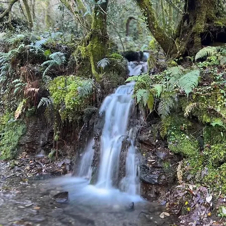 דירה Adiva Casa Da Avoa *
