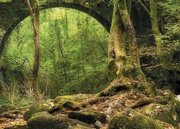 Adiva Casa Da Avoa Апартаменты *