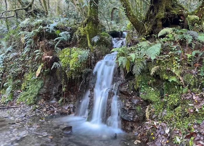 Апартаменты Adiva Casa Da Avoa *